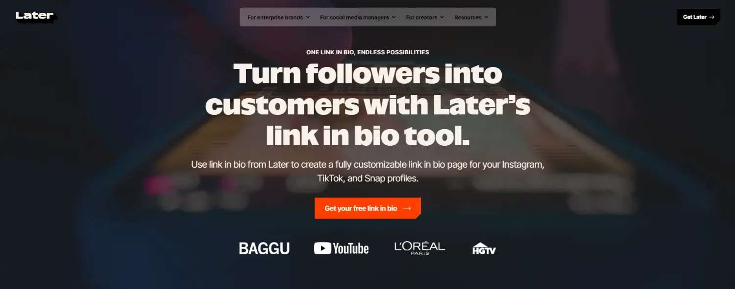 later link in bio homepage