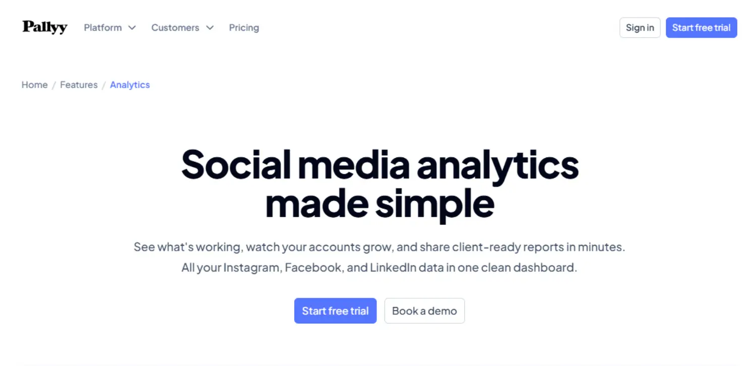 pallyy social media analytics homepage