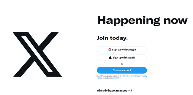 X (Twitter) Homepage